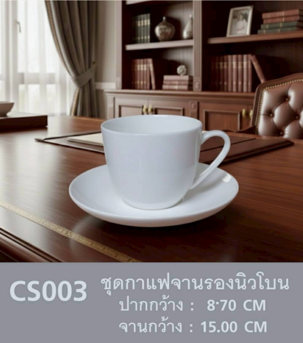 CS003